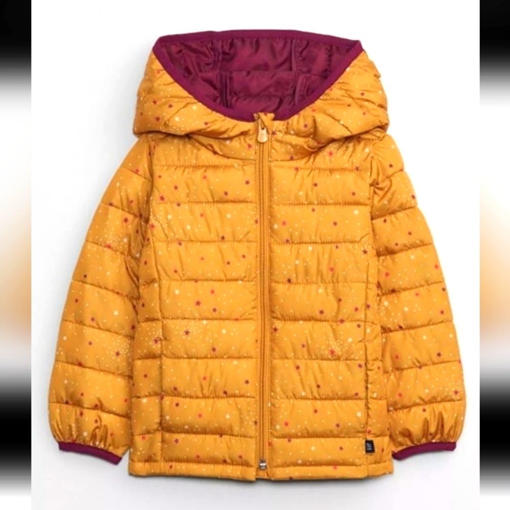 Toddler Gap Kids Coat Size 2T
